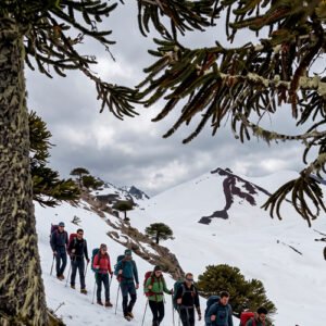 Tour Huella del Puma y Salto Tiriento